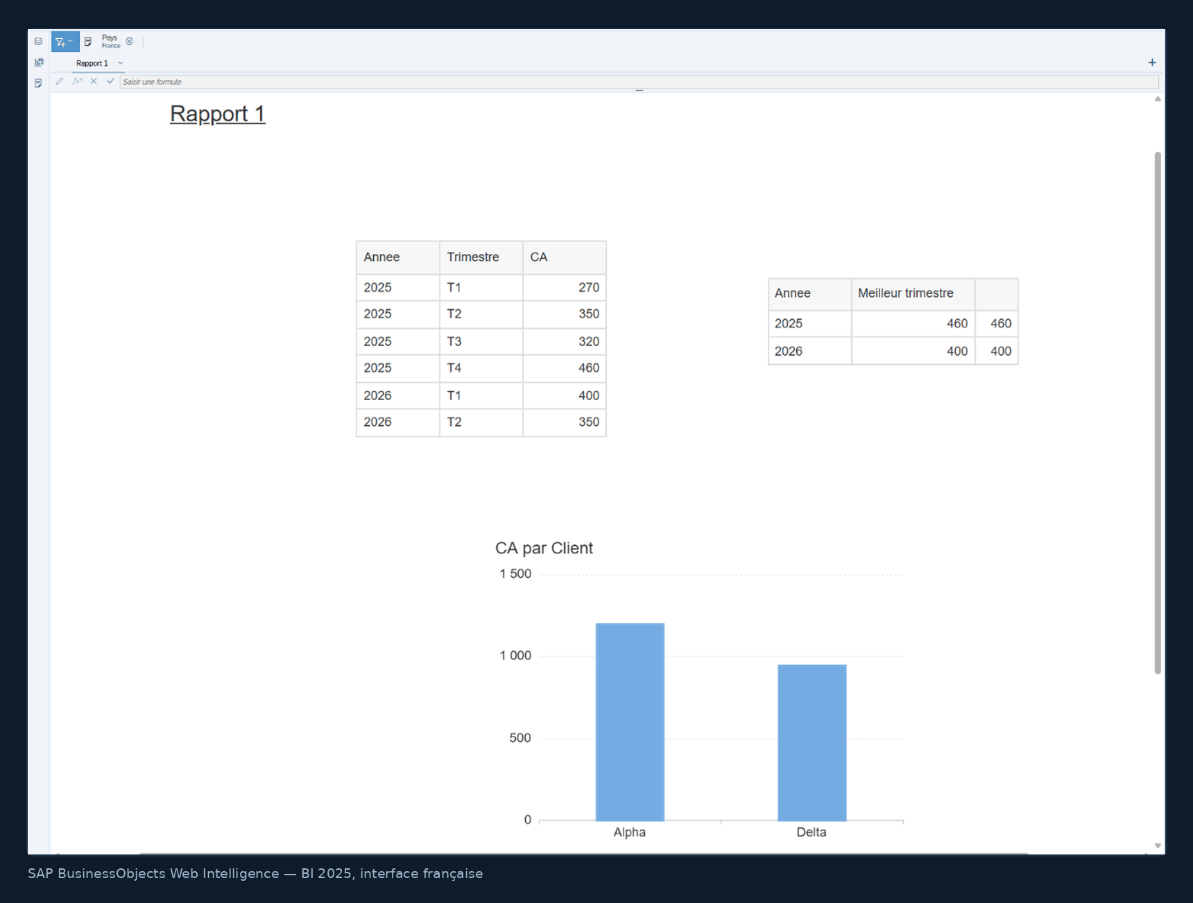 Rapport Web Intelligence filtré par un contrôle d'entrée sur le pays : tableau, indicateur calculé et graphique suivent la sélection